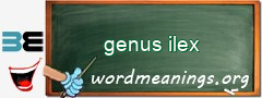 WordMeaning blackboard for genus ilex